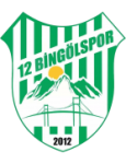 12 Bingölspor